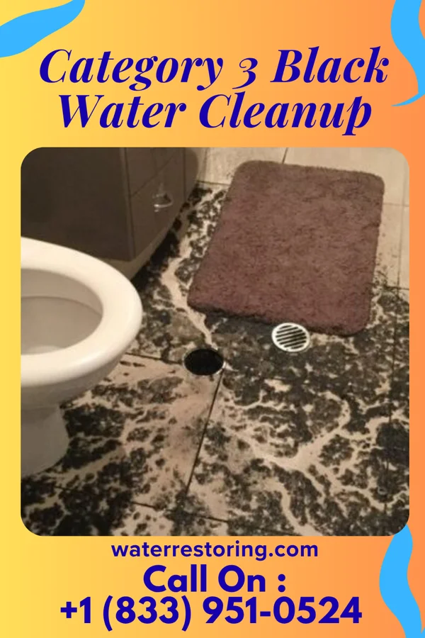Category 3 Black Water Cleanup in Belle Fourche, SD